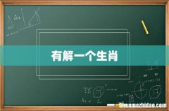 有解一个生肖