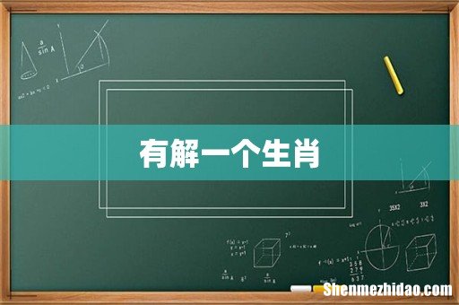 有解一个生肖