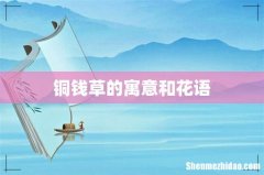 铜钱草的寓意和花语