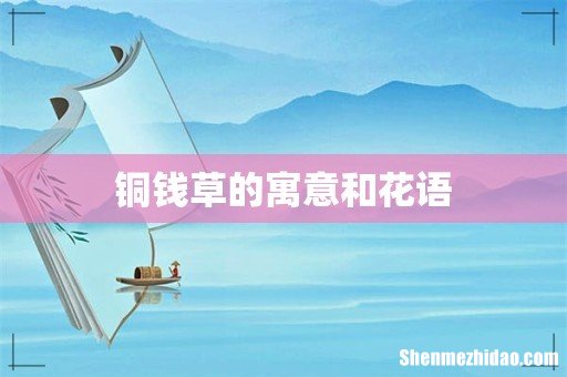 铜钱草的寓意和花语