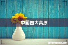 中国四大高原
