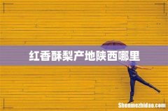 红香酥梨产地陕西哪里