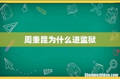 周秉昆为什么进监狱