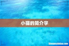 小猫的简介字