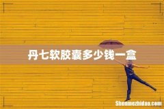 丹七软胶囊多少钱一盒