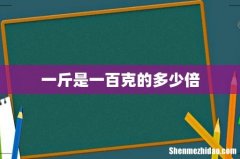 一斤是一百克的多少倍