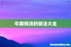 牛脚炖汤的做法大全
