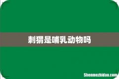 刺猬是哺乳动物吗