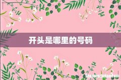 开头是哪里的号码