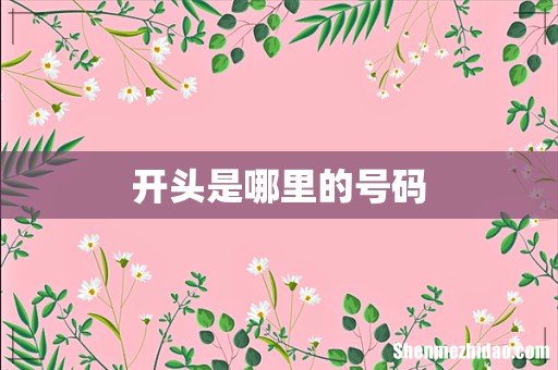 开头是哪里的号码
