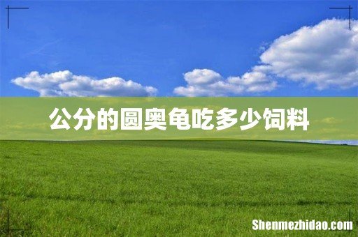 公分的圆奥龟吃多少饲料