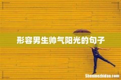 形容男生帅气阳光的句子