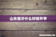山东临沂什么时候开学