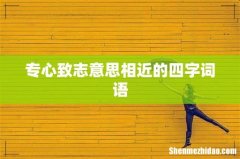 专心致志意思相近的四字词语