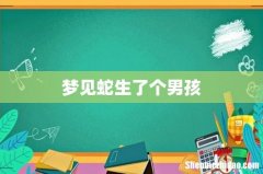 梦见蛇生了个男孩