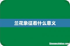 兰花象征着什么意义