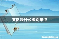 支队是什么级别单位