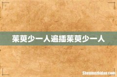 茱萸少一人遍插茱萸少一人