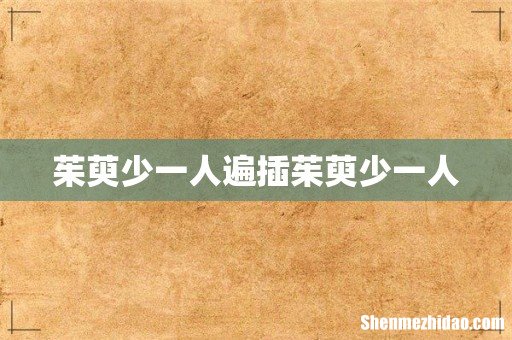 茱萸少一人遍插茱萸少一人