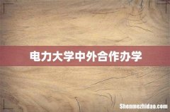 电力大学中外合作办学