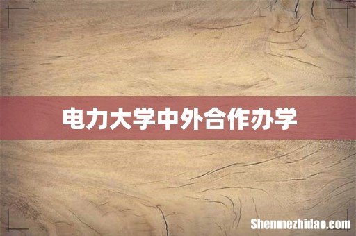 电力大学中外合作办学