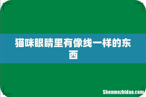 猫咪眼睛里有像线一样的东西