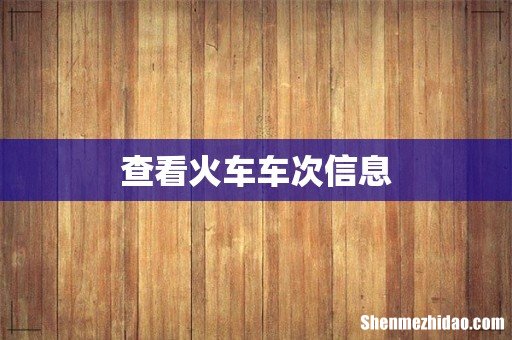 查看火车车次信息