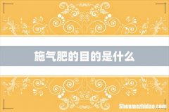 施气肥的目的是什么