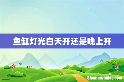 鱼缸灯光白天开还是晚上开