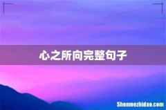 心之所向完整句子