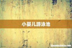 小婴儿游泳池