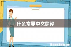 什么意思中文翻译