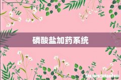 磷酸盐加药系统