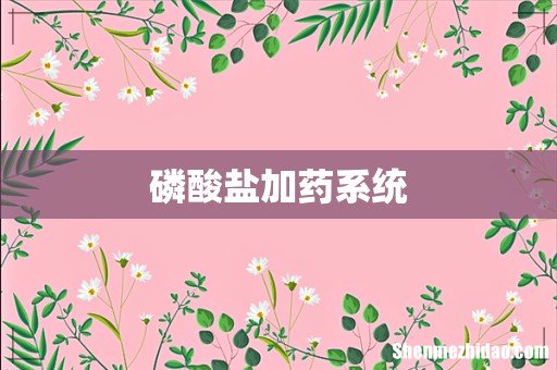 磷酸盐加药系统