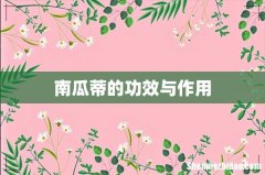 南瓜蒂的功效与作用