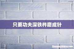 只要功夫深铁杵磨成针
