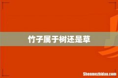 竹子属于树还是草