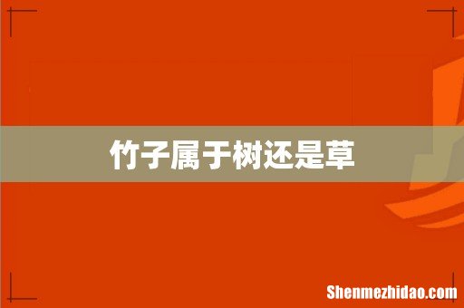竹子属于树还是草
