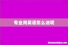 专业用英语怎么说呢