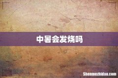 中暑会发烧吗