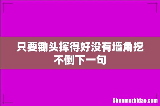 只要锄头挥得好没有墙角挖不倒下一句