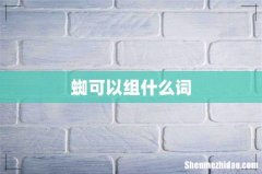 蜘可以组什么词