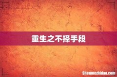 重生之不择手段