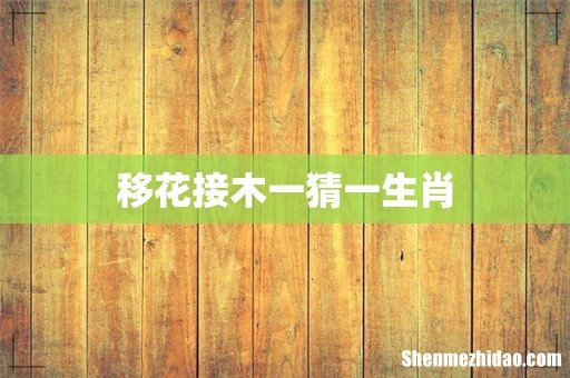 移花接木一猜一生肖