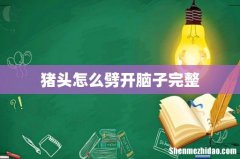 猪头怎么劈开脑子完整