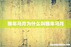 猴年马月为什么叫猴年马月