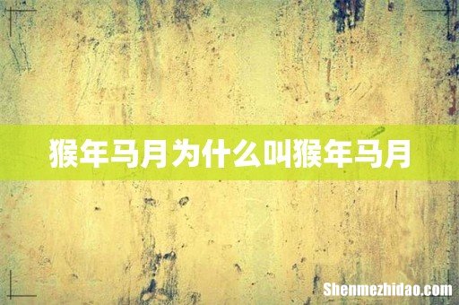 猴年马月为什么叫猴年马月