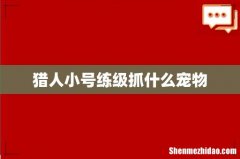 猎人小号练级抓什么宠物