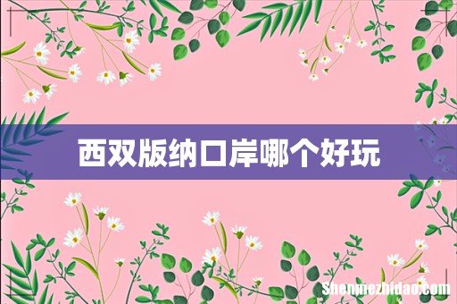 西双版纳口岸哪个好玩