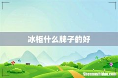 冰柜什么牌子的好